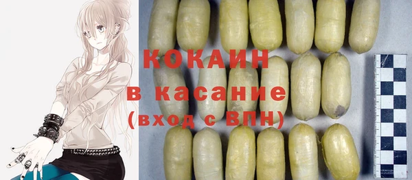 тгк Елизово