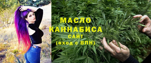 тгк Елизово