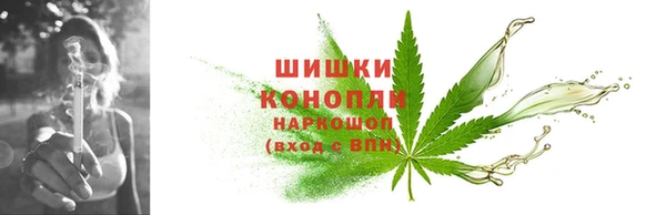 дурь Ельня