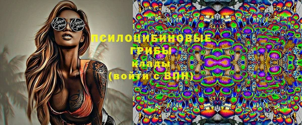 крисы Чекалин