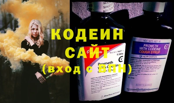дурь Ельня