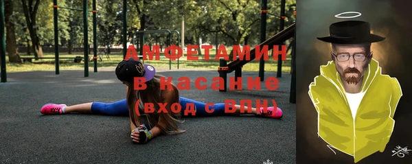 дурь Ельня