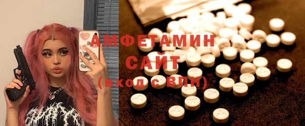 прущие грибы Сосновый Бор
